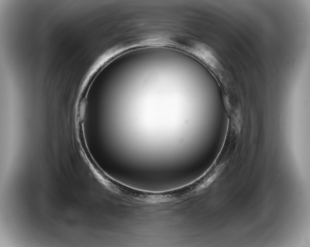 X0000087611430200704271333