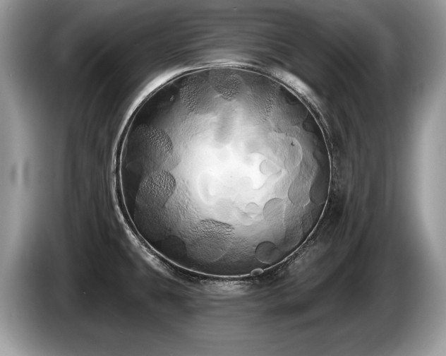 X0000087611431200704271333