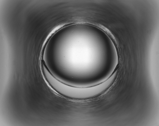 X0000087611432200704271333