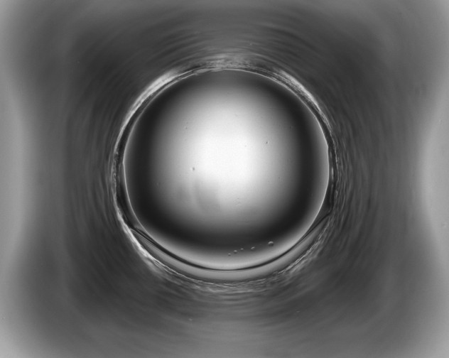 X0000087611434200704271333