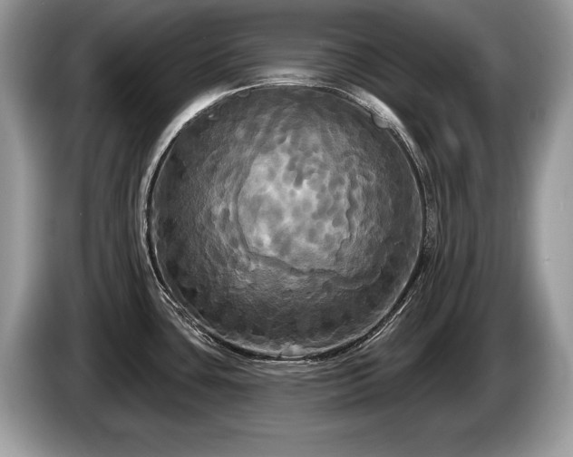 X0000087611435200704271333