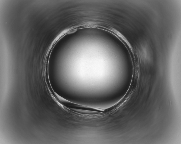 X0000087611437200704271333