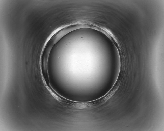 X0000087611438200704271333