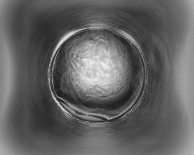 X0000087611440200704271333