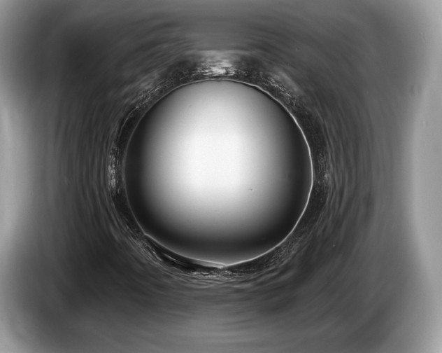 X0000087611442200704271332