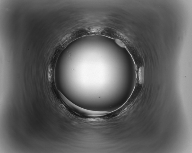 X0000087611443200704271332