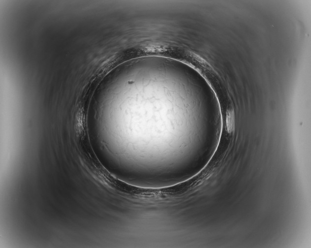 X0000087611444200704271332