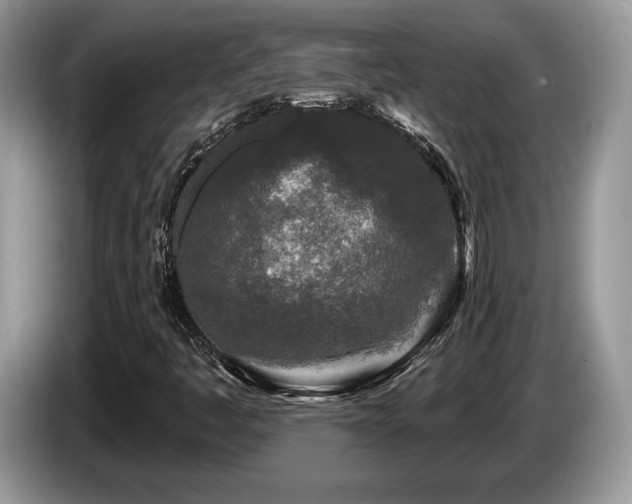 X0000087611445200704271332