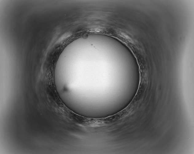 X0000087611446200704271332