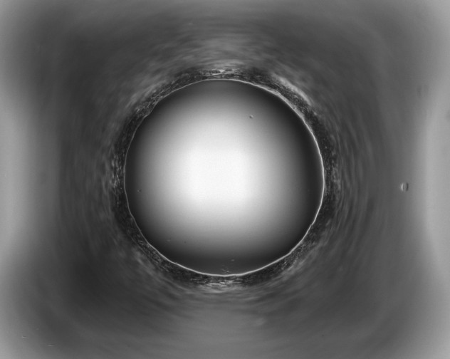 X0000087611447200704271332