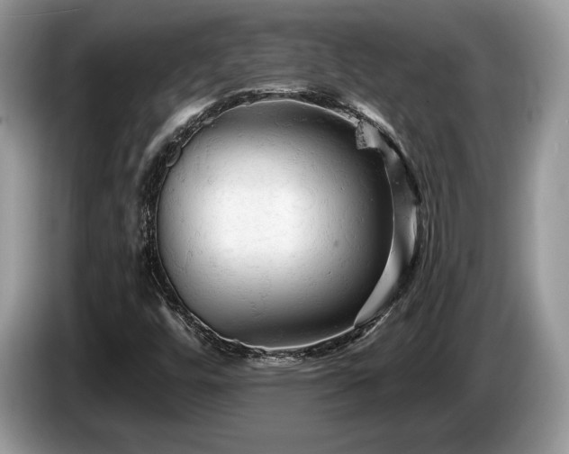 X0000087611448200704271332