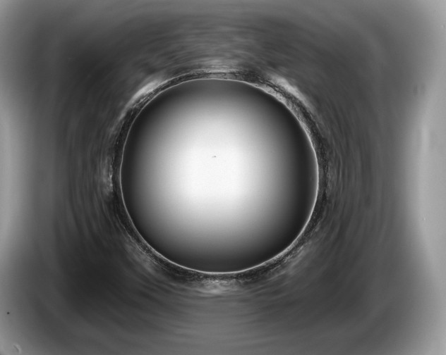X0000087611451200704271332