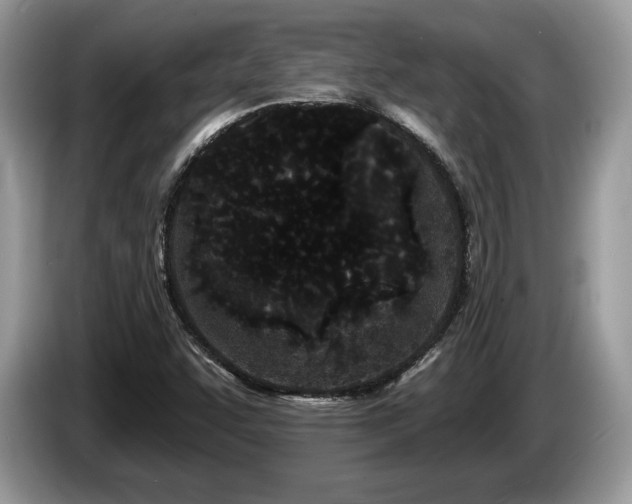 X0000087611455200704271332