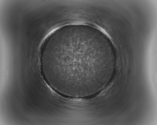 X0000087611456200704271332