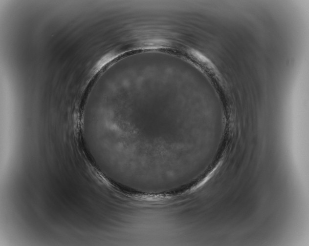X0000087611457200704271332