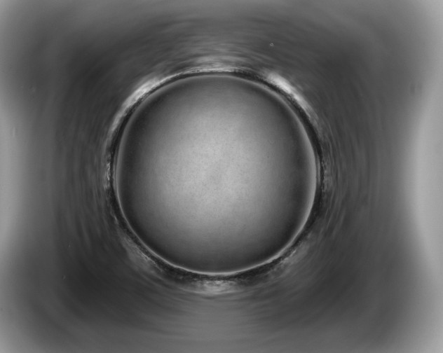 X0000087611459200704271332