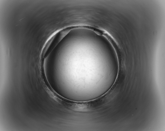 X0000087611460200704271332