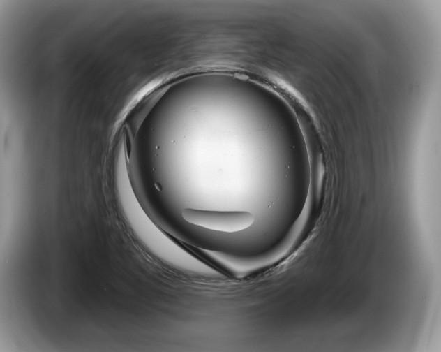 X0000087611461200704271332