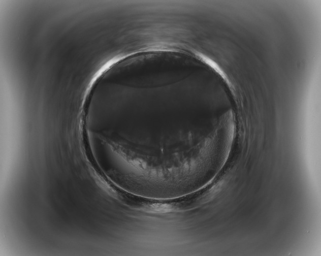 X0000087611463200704271332