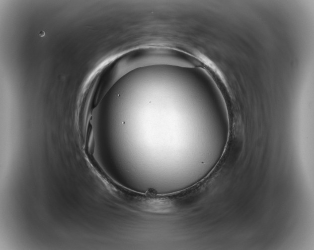X0000087611464200704271332