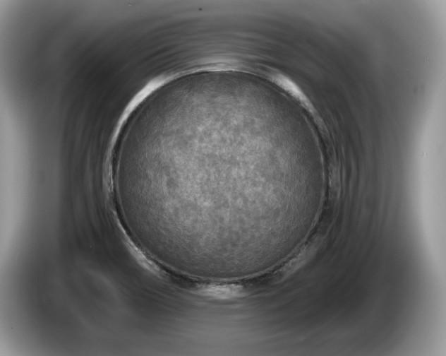 X0000087611466200704271332