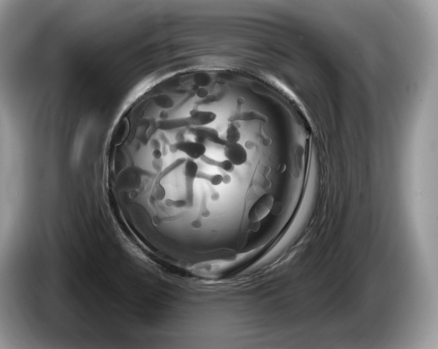 X0000087611467200704271332