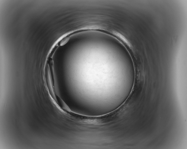 X0000087611468200704271332