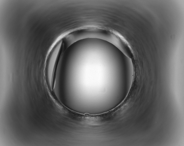 X0000087611469200704271332