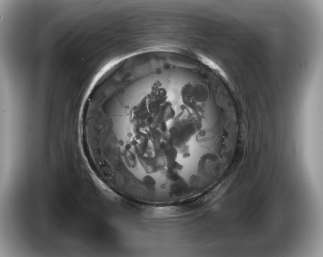 X0000087611471200704271332