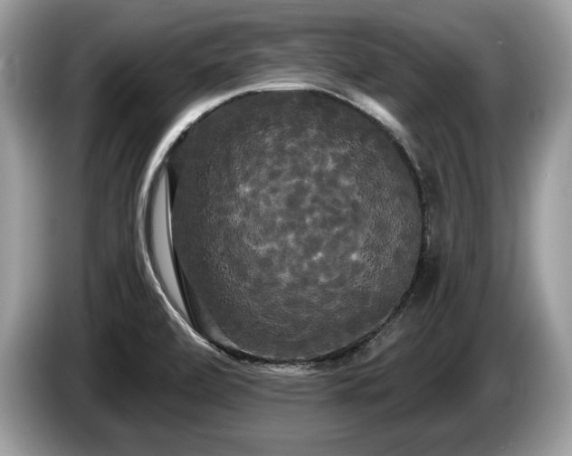 X0000087611472200704271332