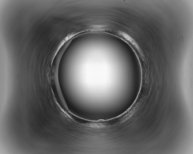 X0000087611473200704271332