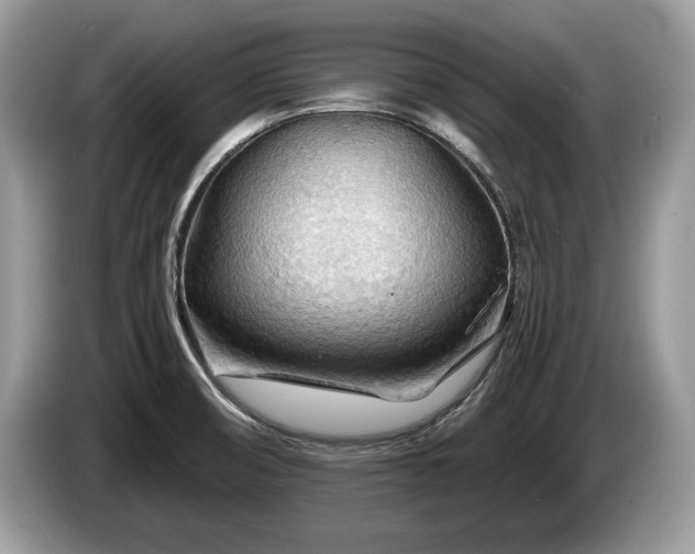 X0000087611474200704271332