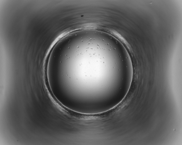 X0000087611475200704271332