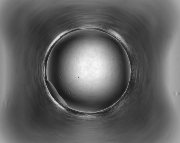X0000087611476200704271332