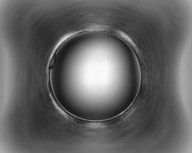 X0000087611479200704271332