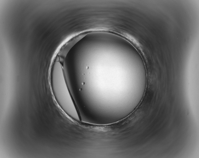 X0000087611480200704271332