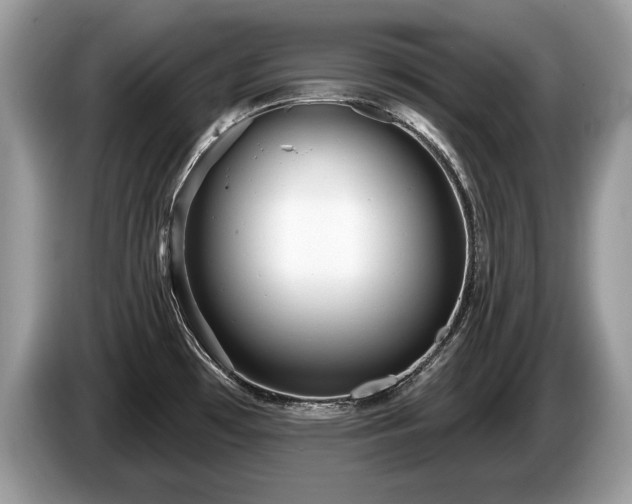 X0000087611481200704271332