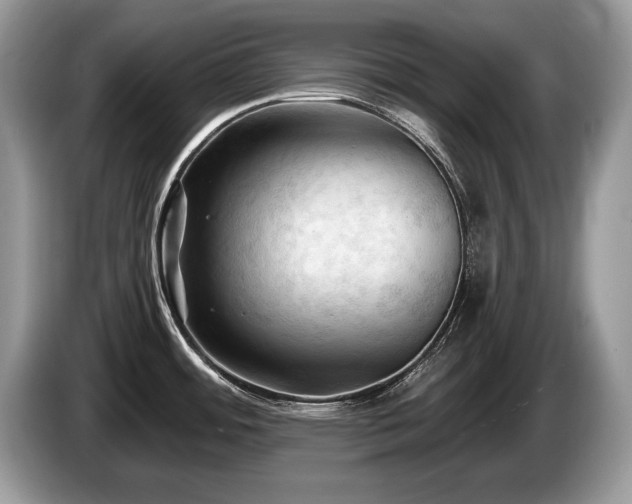 X0000087611484200704271332