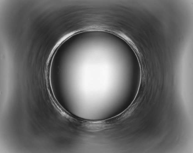 X0000087611486200704271332