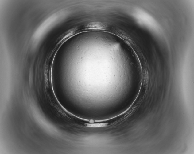 X0000087611487200704271332
