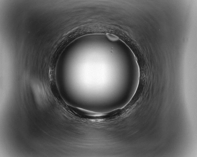 X0000087611490200704271331