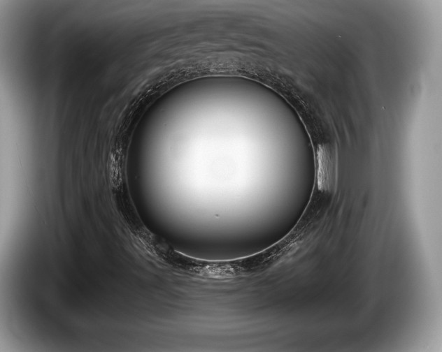 X0000087611491200704271331
