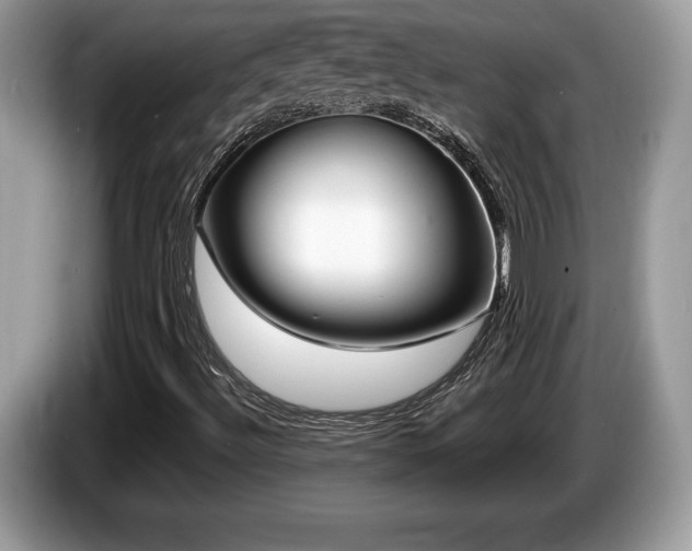 X0000087611492200704271331