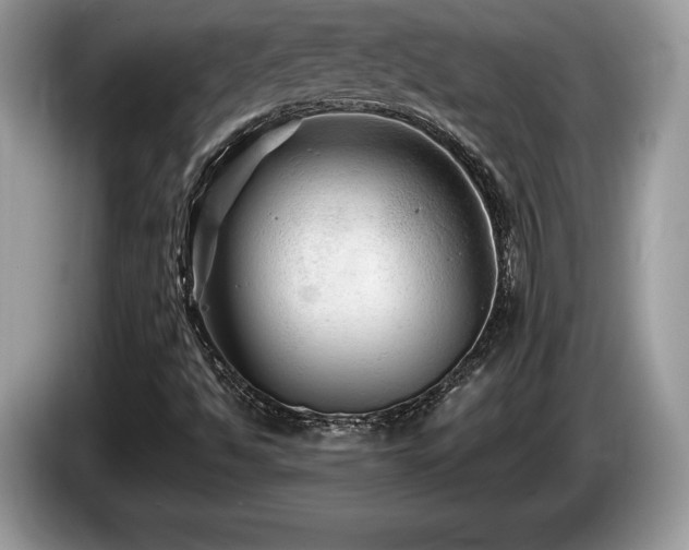 X0000087611494200704271331