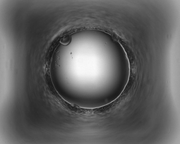 X0000087611495200704271331