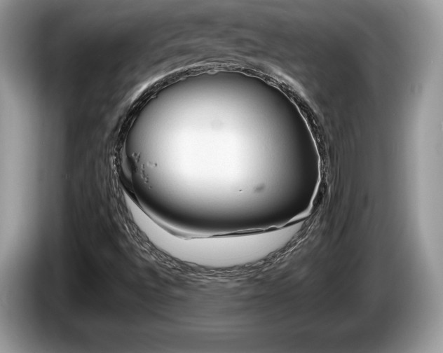 X0000087611496200704271331