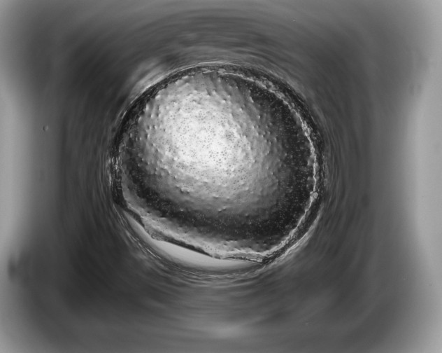X0000087611497200704271331