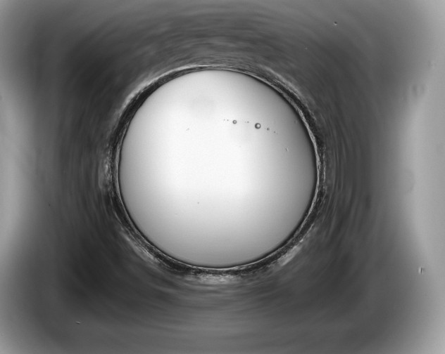 X0000087611498200704271331
