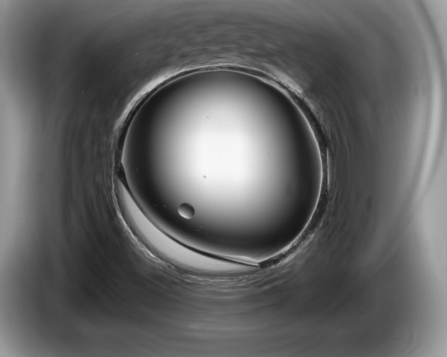 X0000087611500200704271331