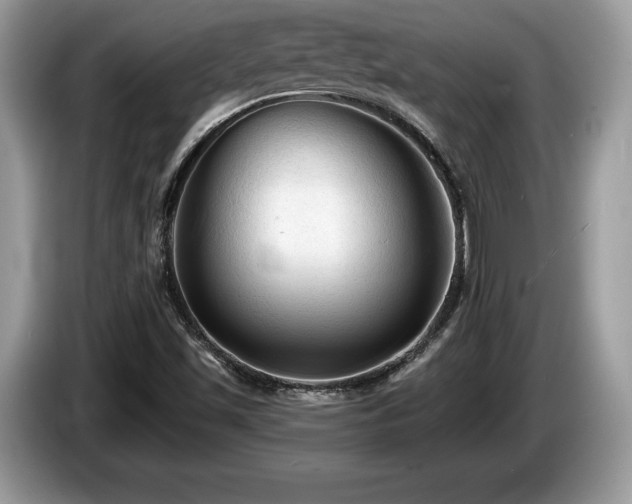 X0000087611501200704271331